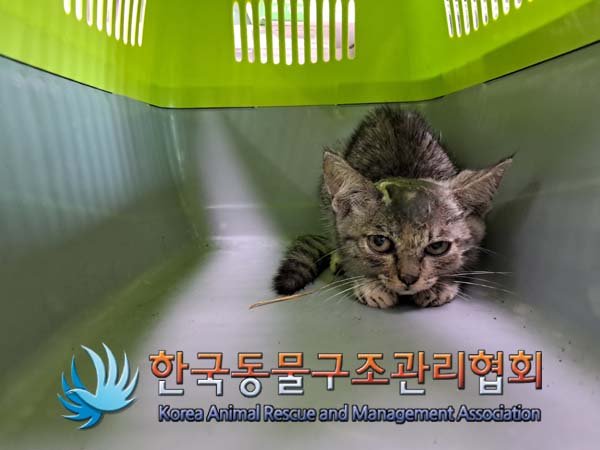 종료(자연사) 한국…