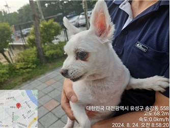 대전동물보호센터_430367202400572