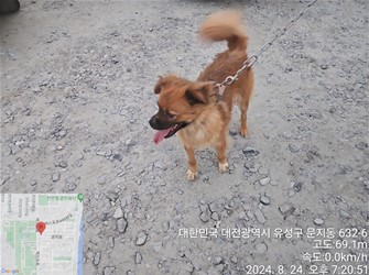 대전동물보호센터_430367202400575