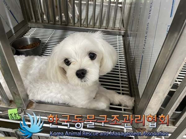 한국동물구조관리협회_411310202400611