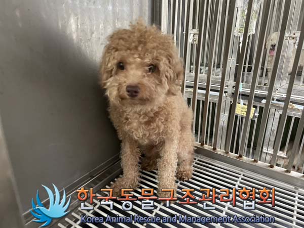 한국동물구조관리협회_411315202400423