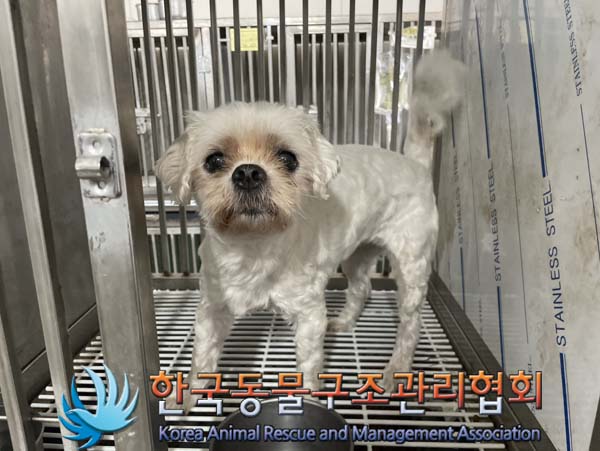 한국동물구조관리협회_411310202400612