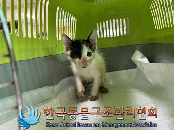 종료(기증) 한국 …