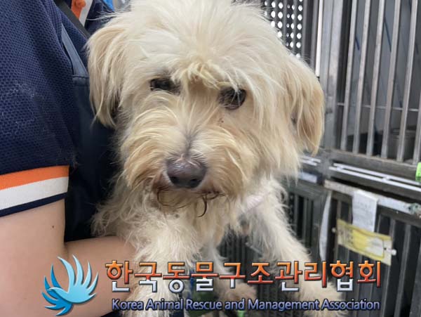 한국동물구조관리협회_441560202401015