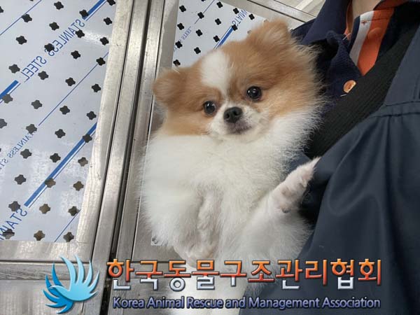 한국동물구조관리협회_411311202400615