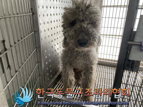 한국동물구조관리협회_441409202401279