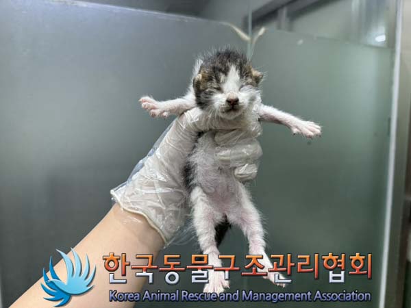 한국동물구조관리협회_411309202400254
