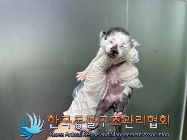 종료(자연사) 한국…