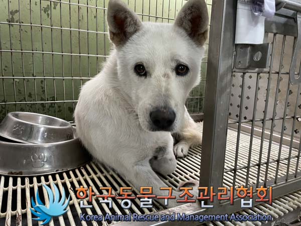 한국동물구조관리협회_411303202400369