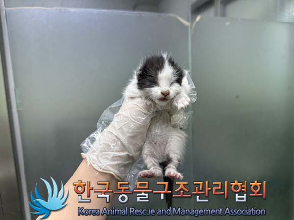 종료(자연사) 한국…