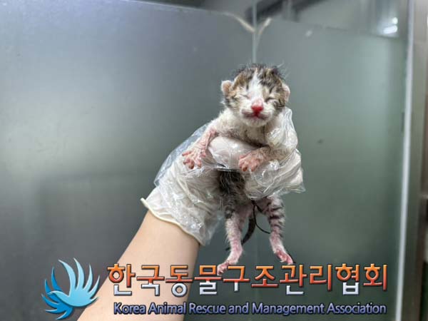 한국동물구조관리협회_411317202400272