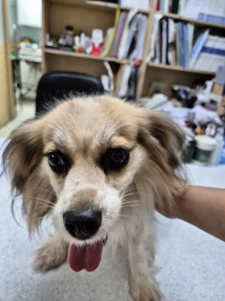 최종주동물병원_443444202400310