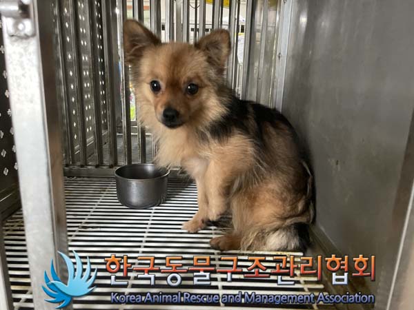 한국동물구조관리협회_441406202401378