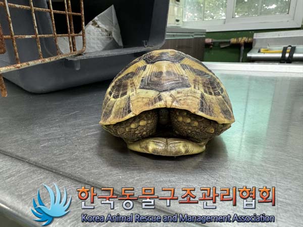 한국동물구조관리협회_411323202400887