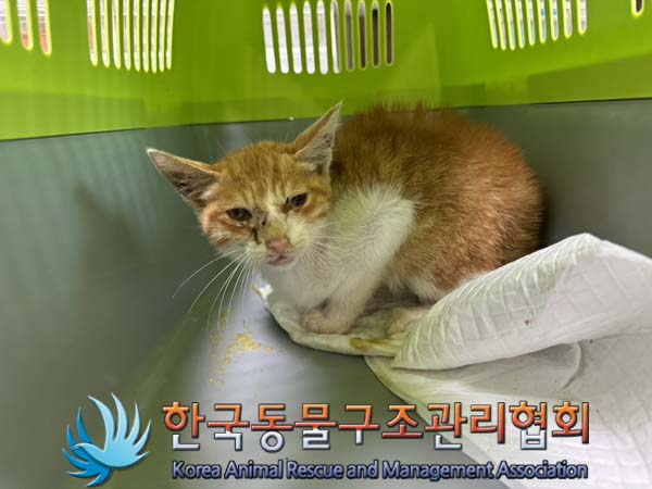 종료(자연사) 한국…