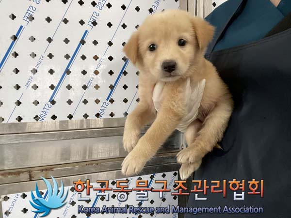 한국동물구조관리협회_441406202401380