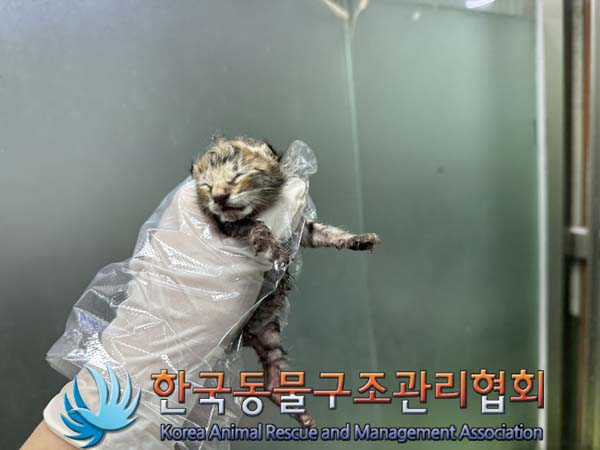 한국동물구조관리협회_411303202400370