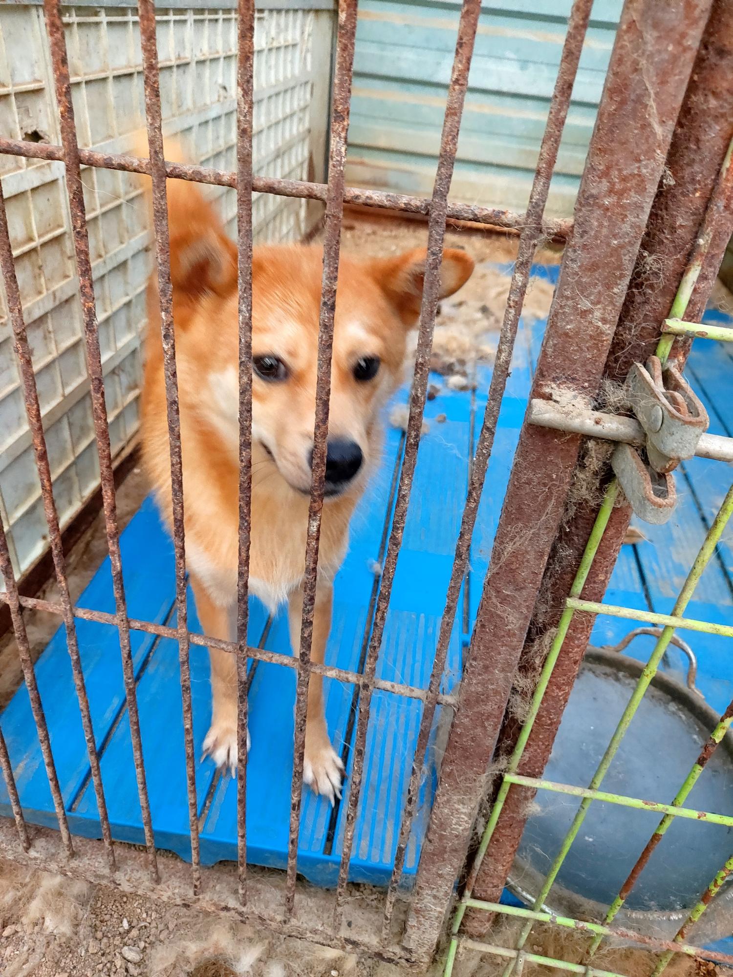 제일동물병원_444455202400502