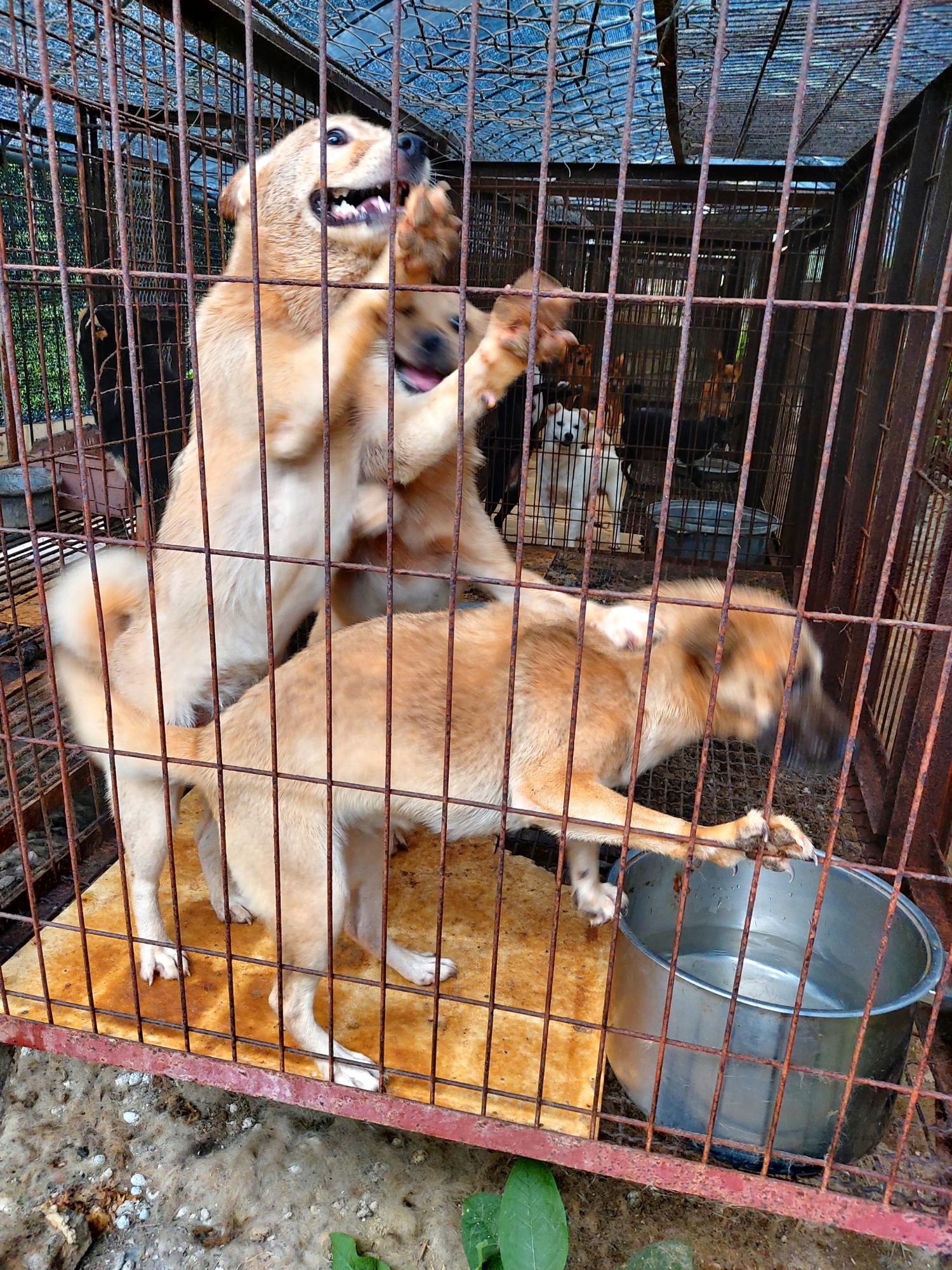 제일동물병원_444455202400510