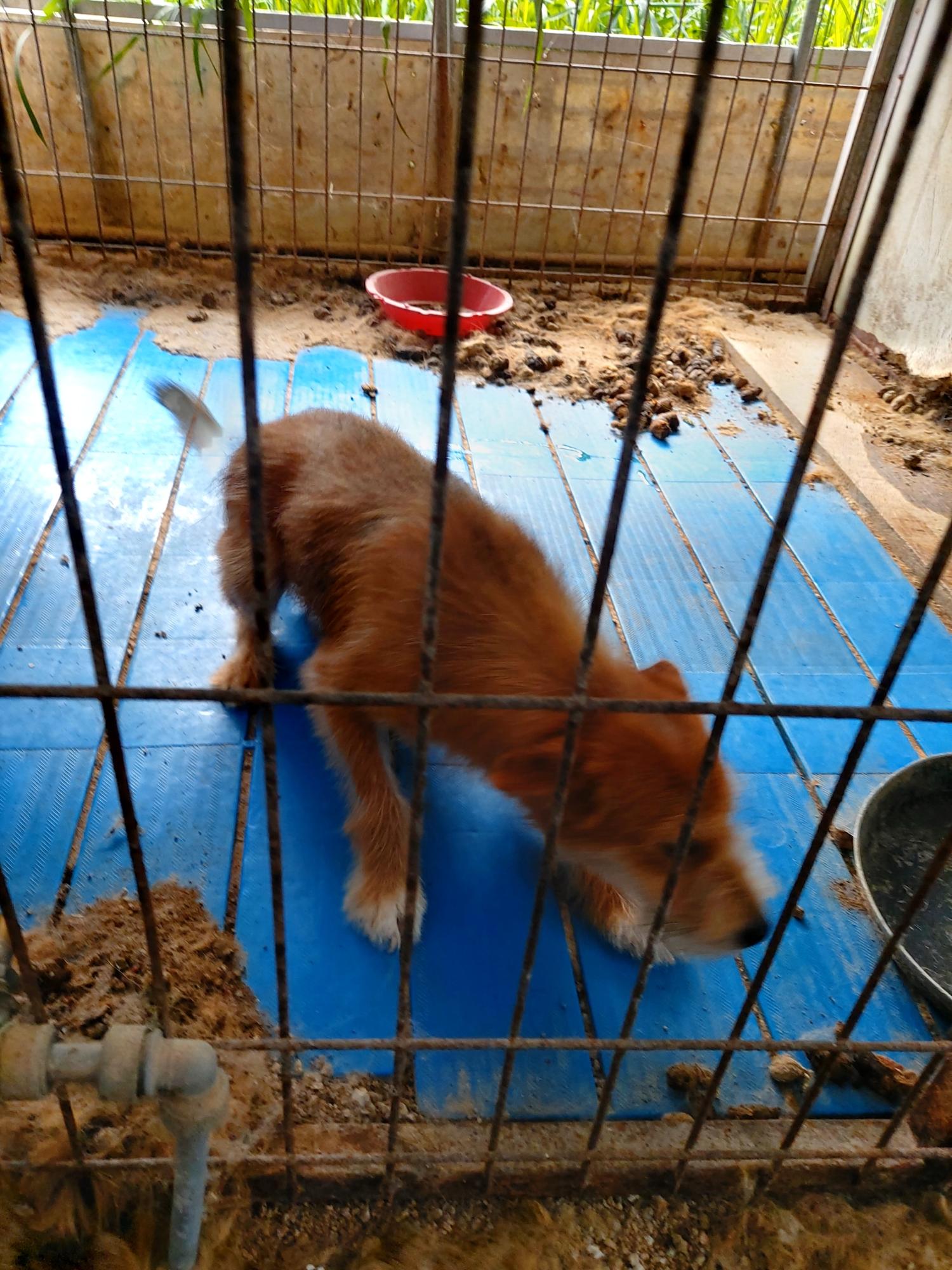 제일동물병원_444455202400504