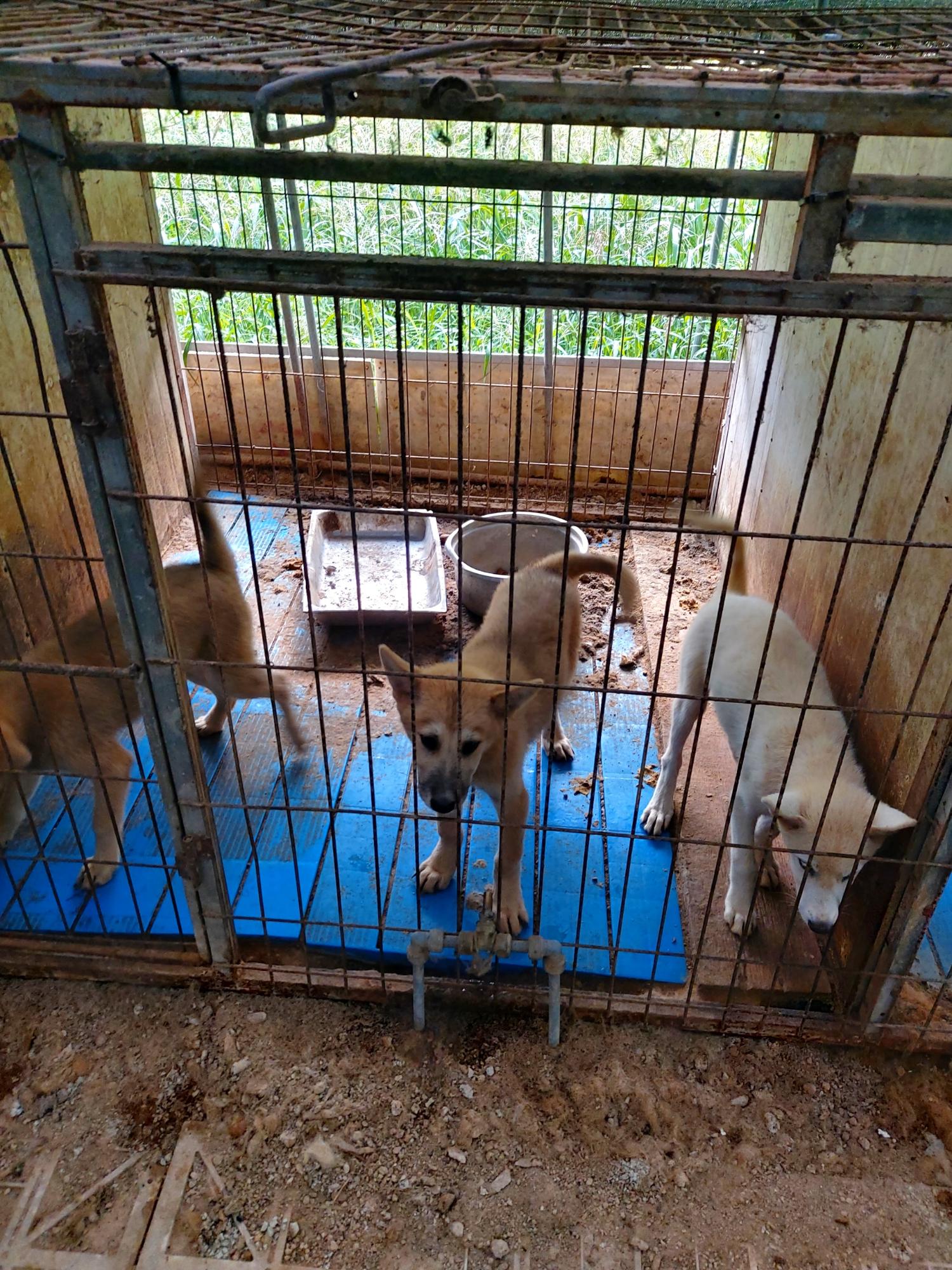 제일동물병원_444455202400506