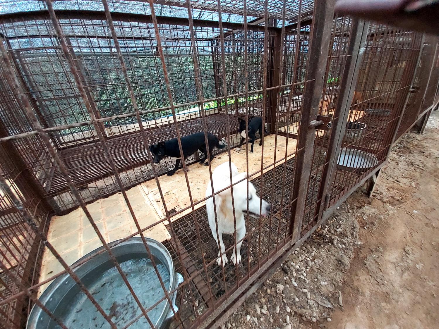 제일동물병원_444455202400513