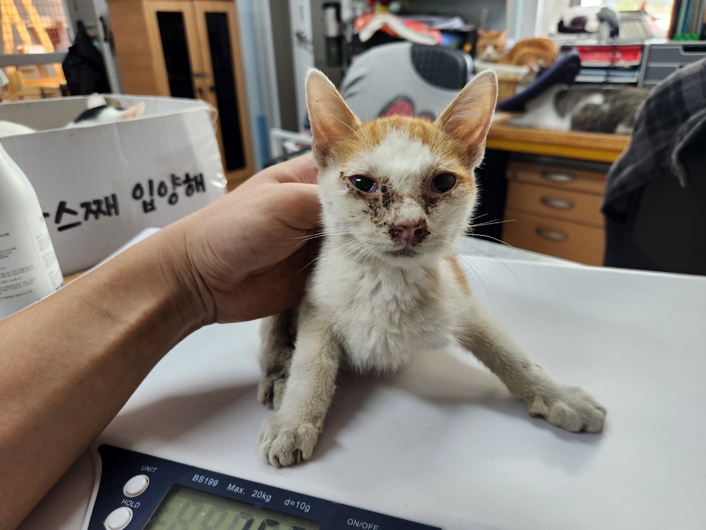 광주 동물보호소_429363202400892