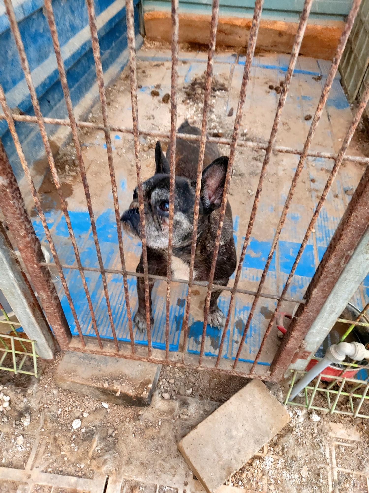 제일동물병원_444455202400500
