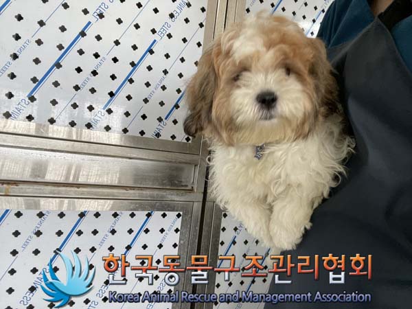 한국동물구조관리협회_441382202400664