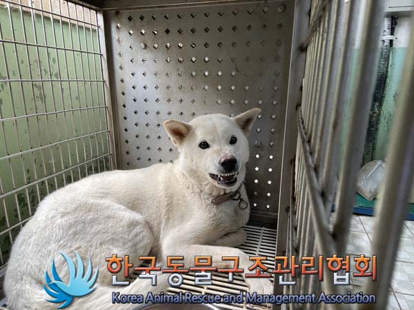 한국동물구조관리협회_441406202401386