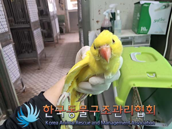 한국동물구조관리협회_441409202401281