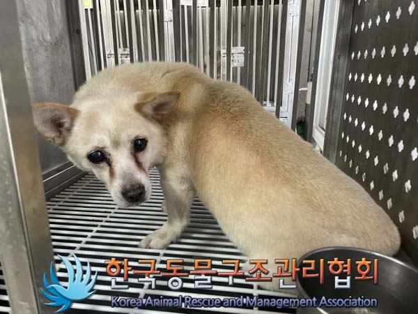 한국동물구조관리협회_411309202400256