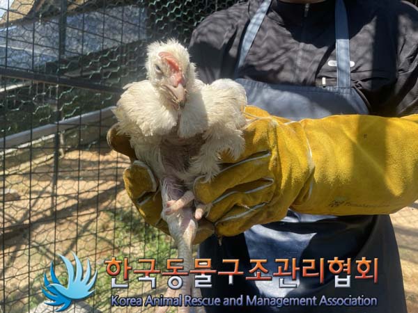 한국동물구조관리협회_441560202401053