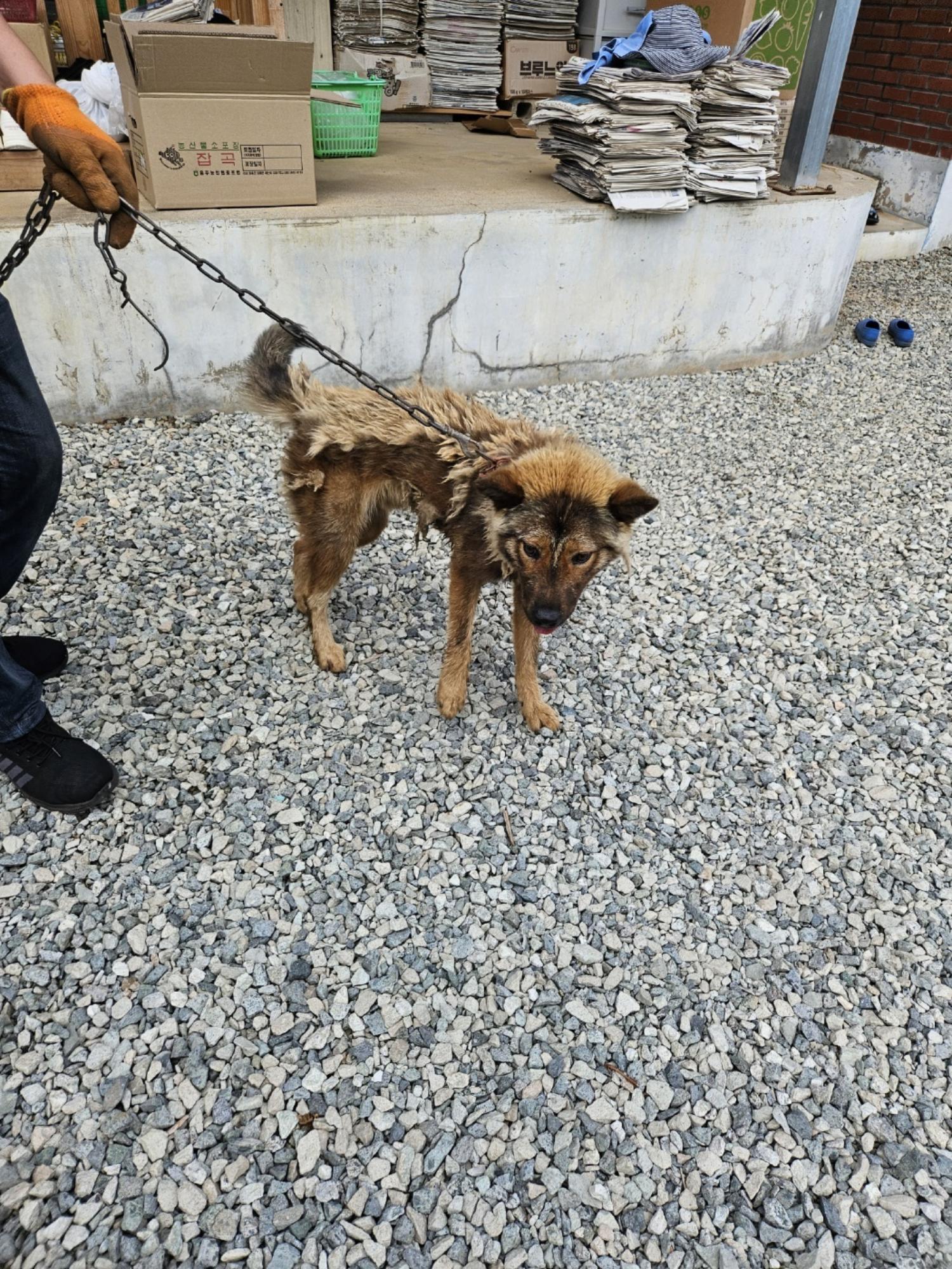 장성군동물보호센터_446498202400293