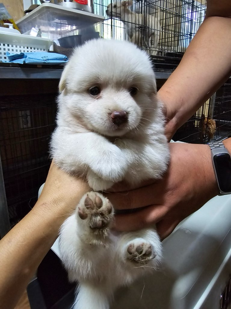 밀양시 동물보호센터_448536202401333