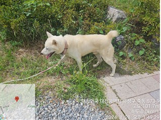 대전동물보호센터_430367202400576