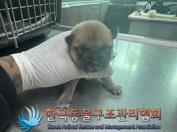 종료(자연사) 믹스…