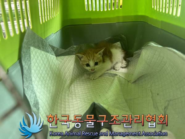 종료(자연사) 한국…