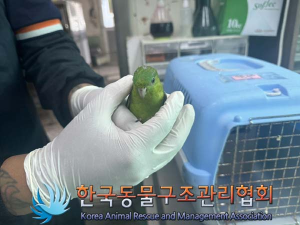 한국동물구조관리협회_411322202400425