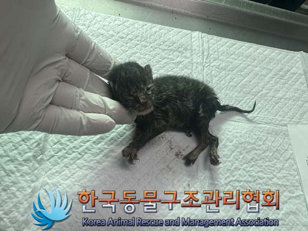 종료(자연사) 한국…