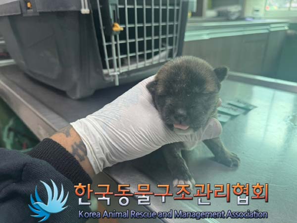 종료(자연사) 믹스…