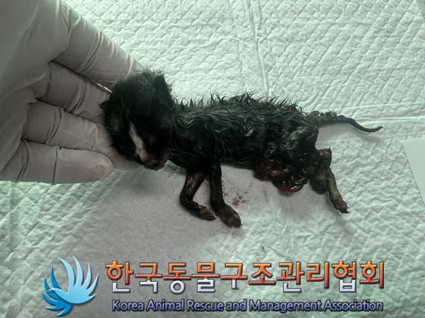 종료(자연사) 한국…