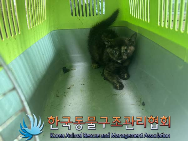 한국동물구조관리협회_411323202400891