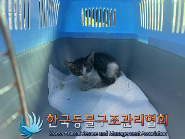 종료(자연사) 한국…