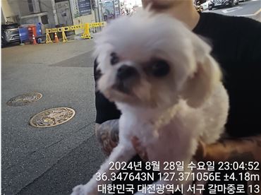 대전동물보호센터_430366202400428