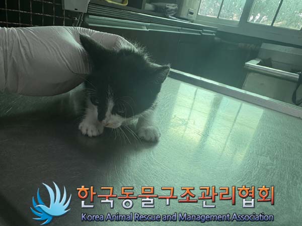 종료(자연사) 한국…