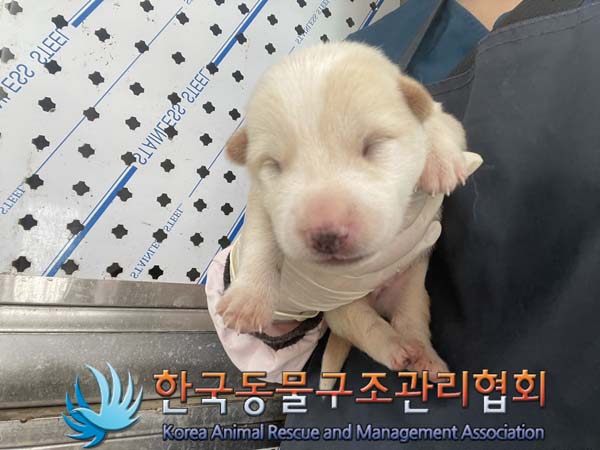 한국동물구조관리협회_441406202401392