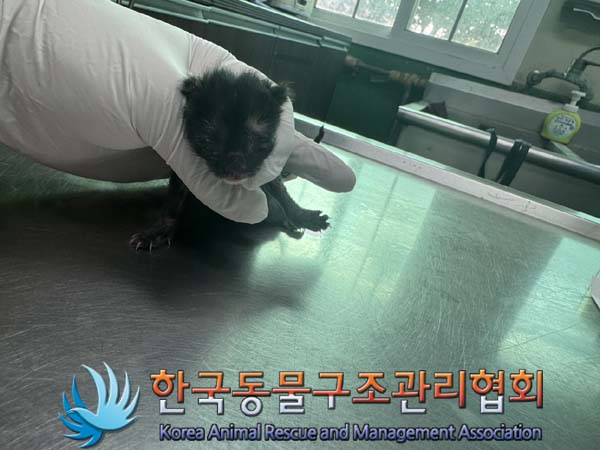 한국동물구조관리협회_411307202400435