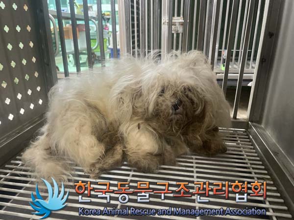 한국동물구조관리협회_411315202400428