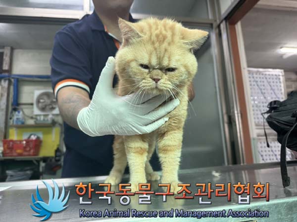 한국동물구조관리협회_411305202400494